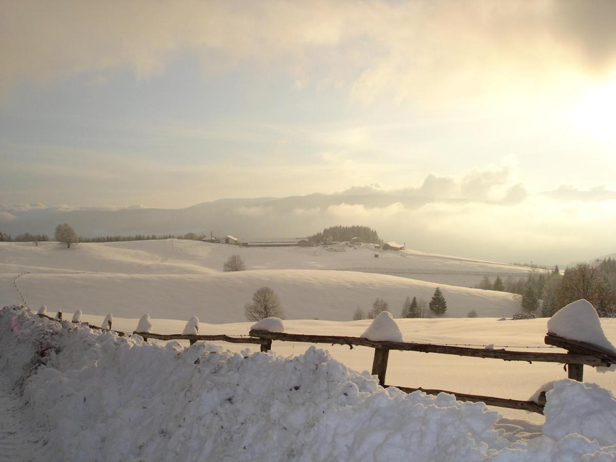 Da C I S A Bed and Breakfast Tambre dʼAlpago Exteriör bild