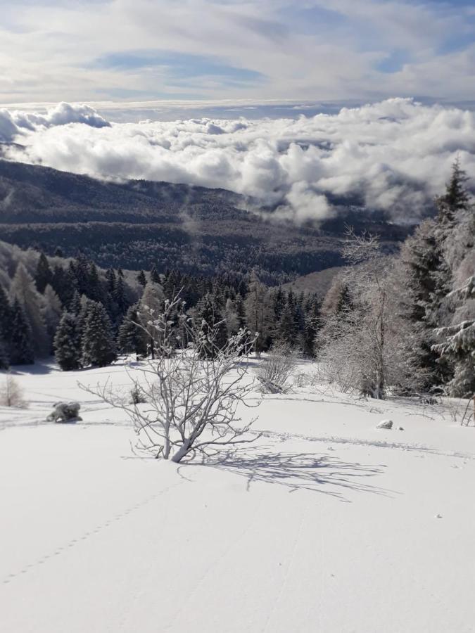 Da C I S A Bed and Breakfast Tambre dʼAlpago Exteriör bild