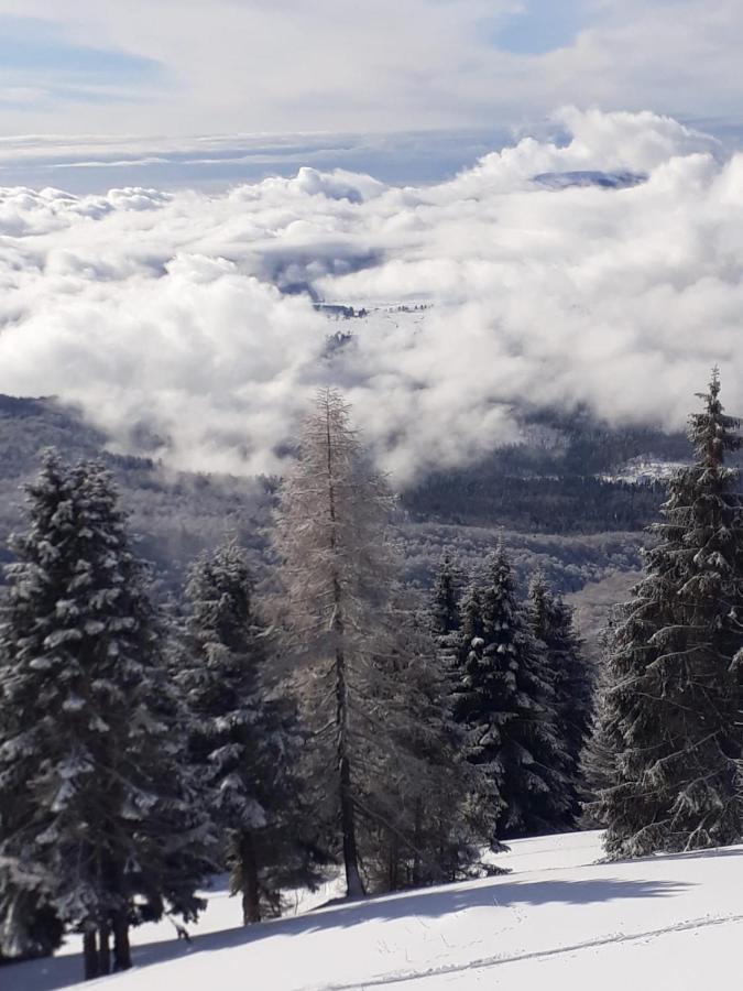 Da C I S A Bed and Breakfast Tambre dʼAlpago Exteriör bild