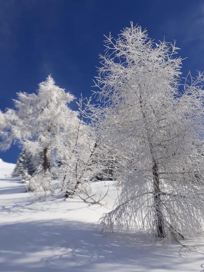 Da C I S A Bed and Breakfast Tambre dʼAlpago Exteriör bild