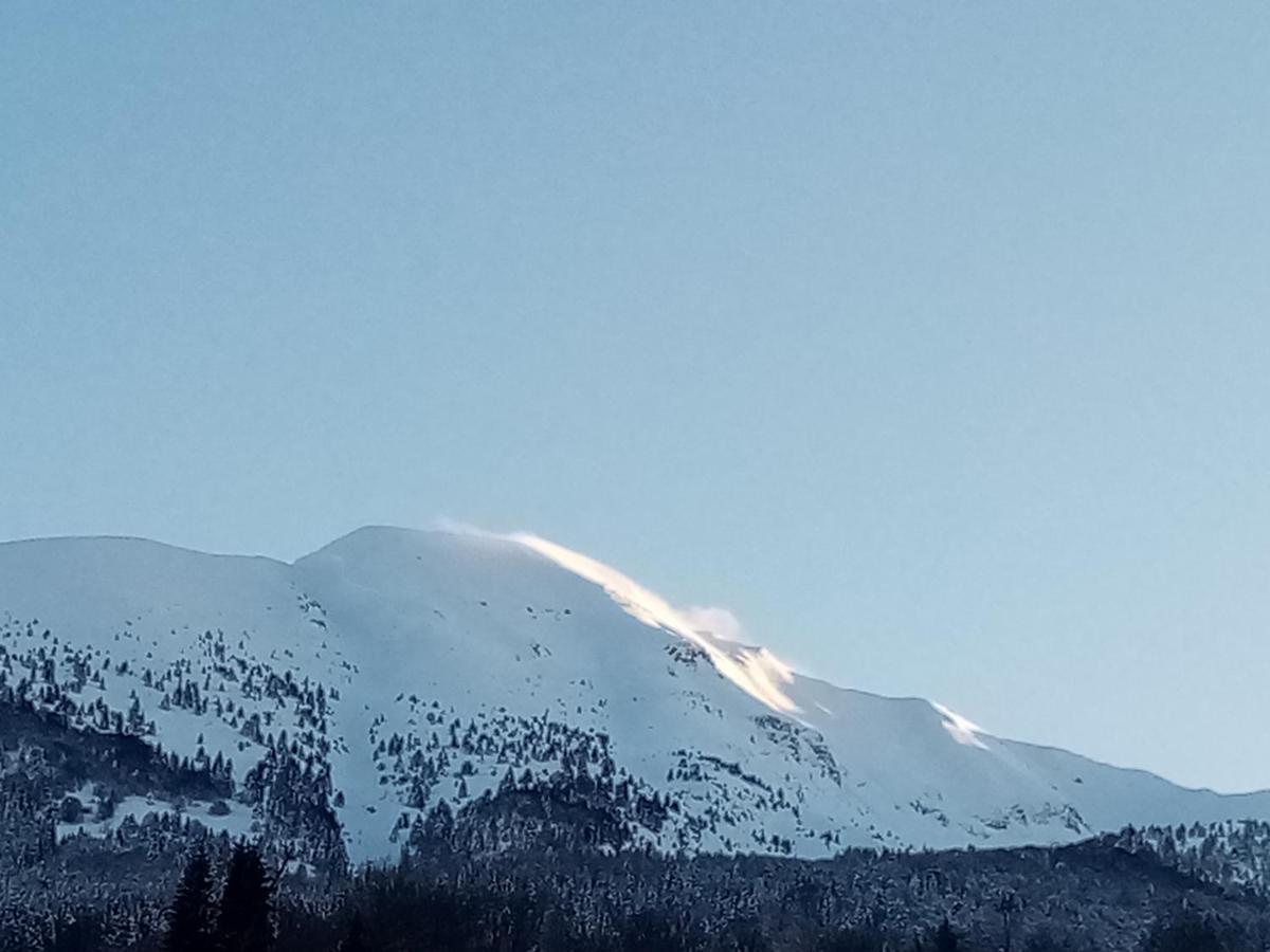 Da C I S A Bed and Breakfast Tambre dʼAlpago Exteriör bild